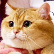 我是你们院长啊