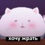 Дауби