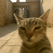 一只小兔吃蛋糕