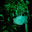 [☣0]kurokawa