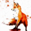 MAGMA FOXES {TBE}