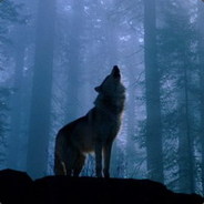 Eremite - steam id 76561198259806872