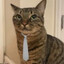Lemon's avatar