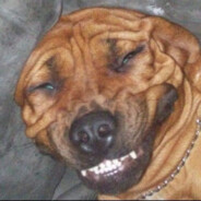 オレクシーは外傷学者