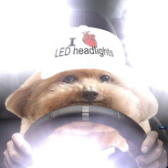 Derpy Hooves's avatar