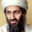 Bin ladin