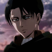 levi