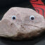 Rock w/ Googly Eyes