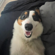 Sung - steam id 76561198259696153