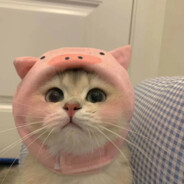 翻斗花园补枪手小美