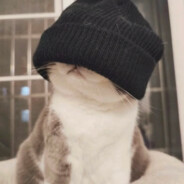 小周