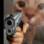 Gato de destrucción