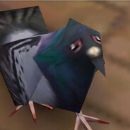 mr kiwi