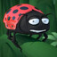 Clara the Ladybug
