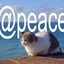 саня_вейп153's avatar