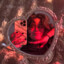 °L-oVe.exe&#039;-Malenia°-blade°