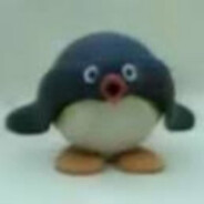 Noot Noot