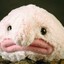 Hank the Blobfish