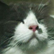 薯条麦当劳苦功高