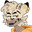 TapfererToaster avatar