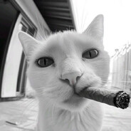 --jinn avatar