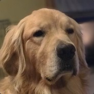 Beef Whiskers - steam id 76561197965486368