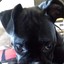 Grumpernickel