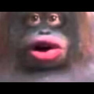 gagaluga