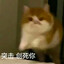 󠀡󠀡󠀡󠀡󠀡󠀡狗爽爽喔儿