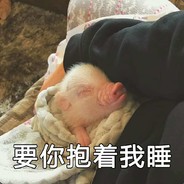 猪慌慌