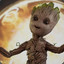 Groot