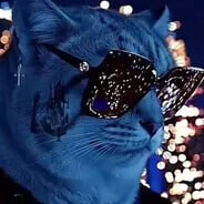 летняя любовь