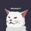 owlcat
