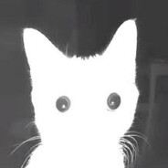 7449