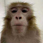 FellMySkills - steam id 76561199883440735