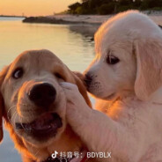 狂踹瘸子那条好腿