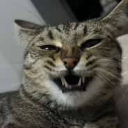 Shimura - steam id 76561198883972970