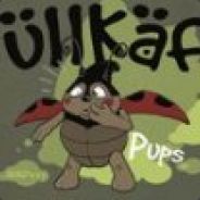 ^1[141]^8BRUELLKAEFER