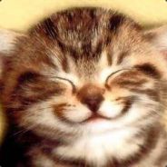 La Rainette - steam id 76561197965592456