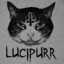 Lucipurr