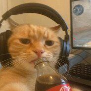 RoseMahry - steam id 76561199223341696