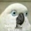 БУБУН