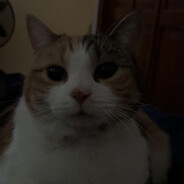 soos
