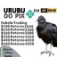 pedro informado