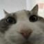 Stanley