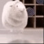 取名废