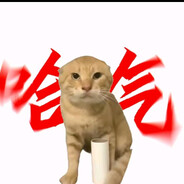 不会哈气学哈气