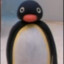 Noot Noot