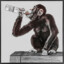 Drunken Monkey