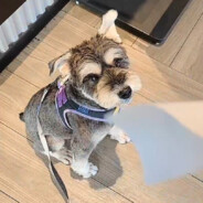 我打4399都开无敌版的人能有什么抗挫折能力